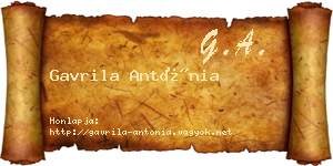Gavrila Antónia névjegykártya